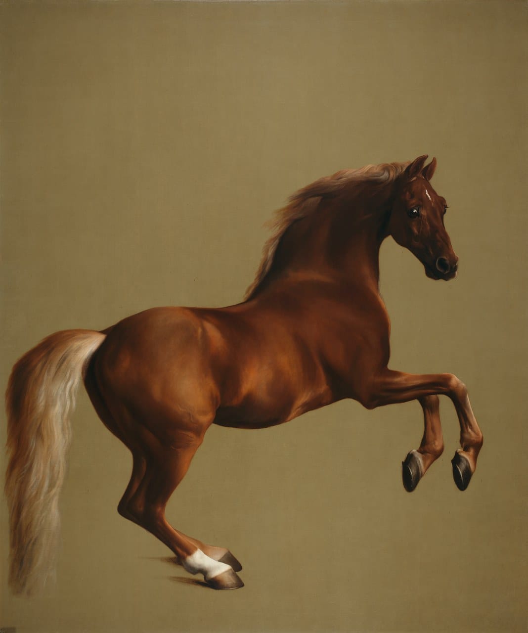 Featured painting by George Stubbs